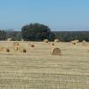 IMG_20140228_113739