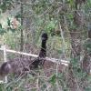 IMG_20140529_121845