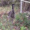 IMG_20140529_121903