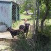 IMG_20140529_122018