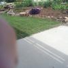 IMG_20140531_145838