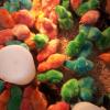 IMG_20150325_125024