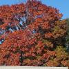 IMG_20151202_153716